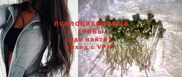 винт Аркадак