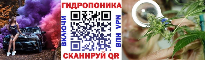 площадка формула  Крым  Каннабис MAZAR 
